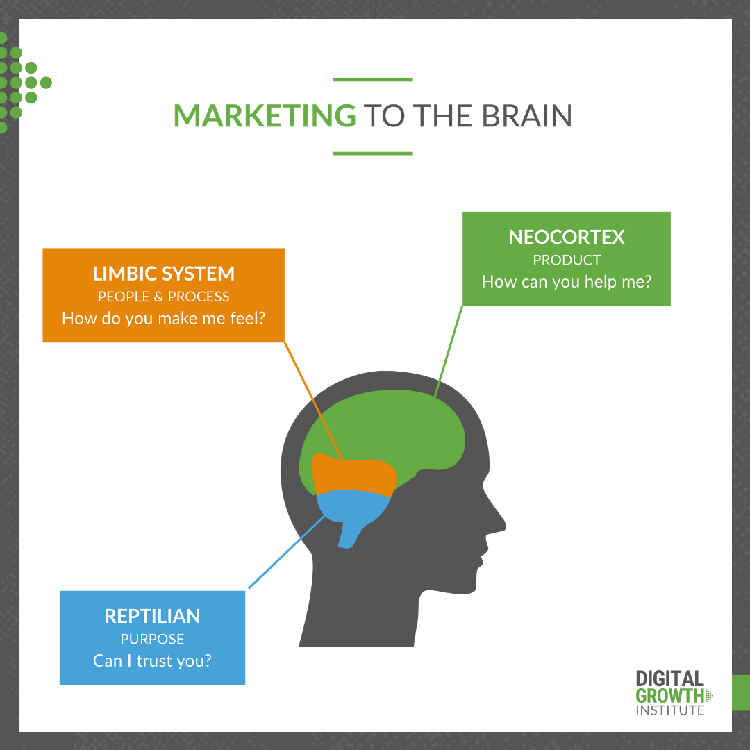 Marketing to the Brain