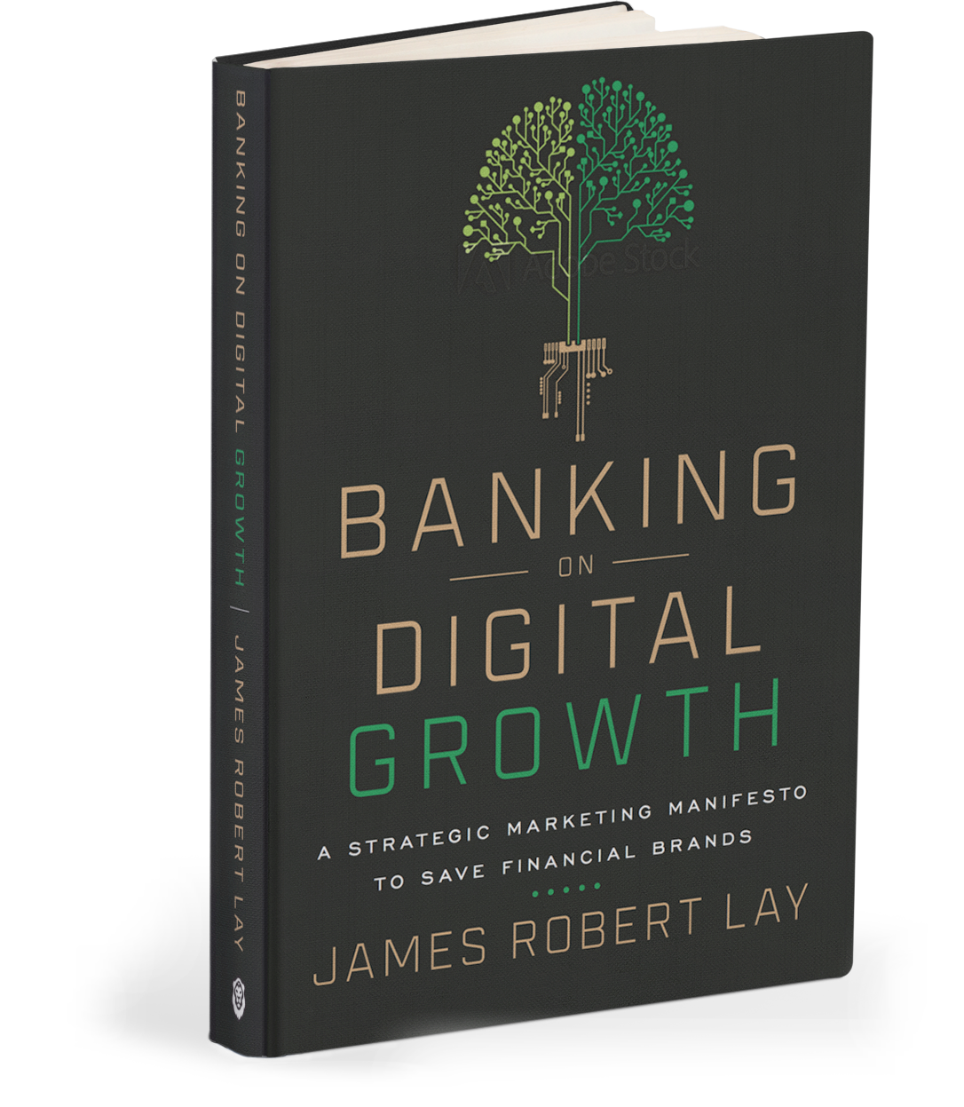 Banking on Digital Growth Book Cover